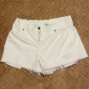 White Aerie Daydream Denim Shorts